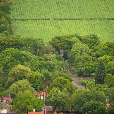 Torre de vigilancia en la Sierra de Montenegro (2021).